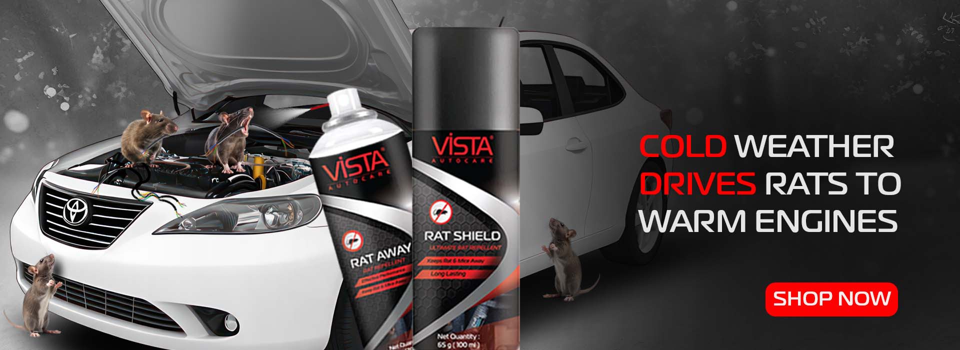 Rat_Repellent_Cold_wheather_drives_rat_1920_x_700